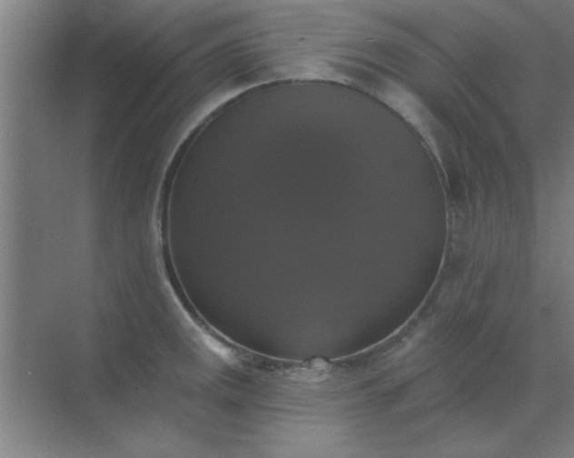 X0000072921141200607282105