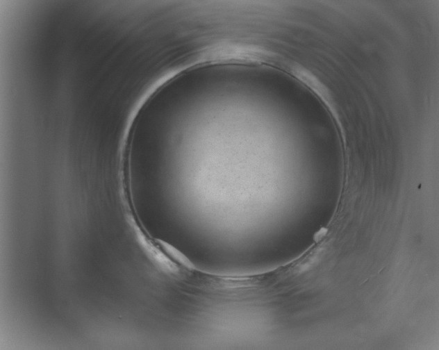 X0000072921152200607282105