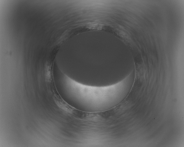 X0000072921154200607282104
