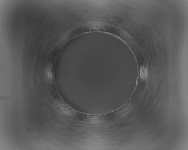 X0000072921155200607282104