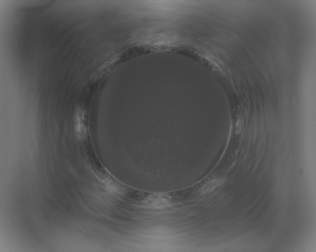 X0000072921156200607282104