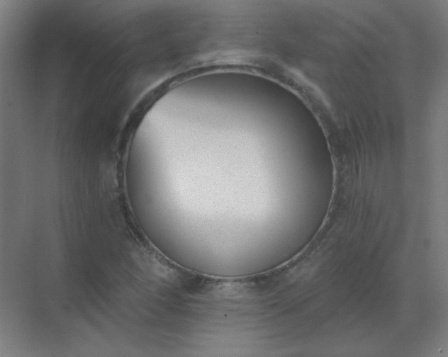 X0000072921166200607282104
