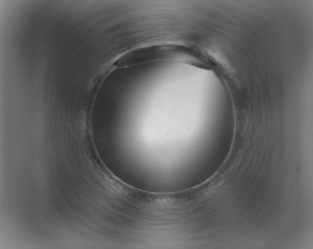 X0000072921169200607282104