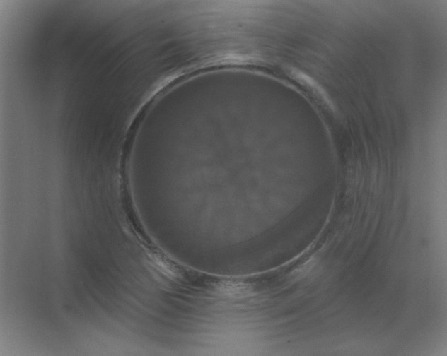X0000072921170200607282104