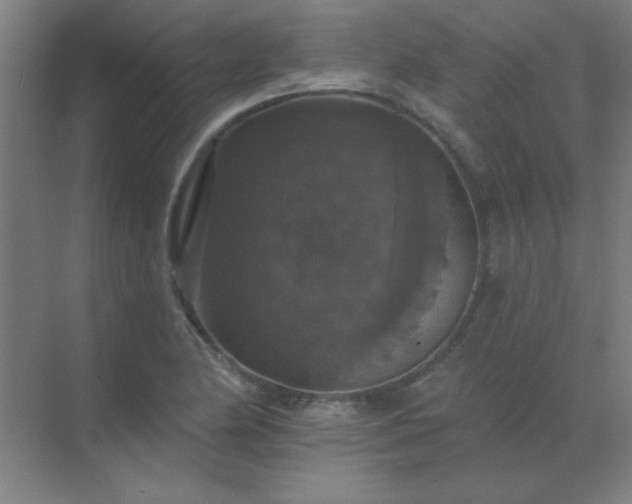 X0000072921174200607282104