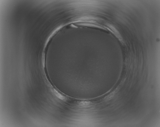 X0000072921180200607282103
