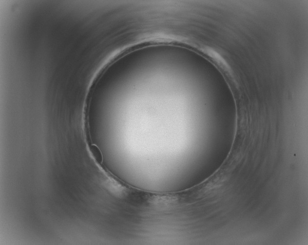 X0000072921183200607282103