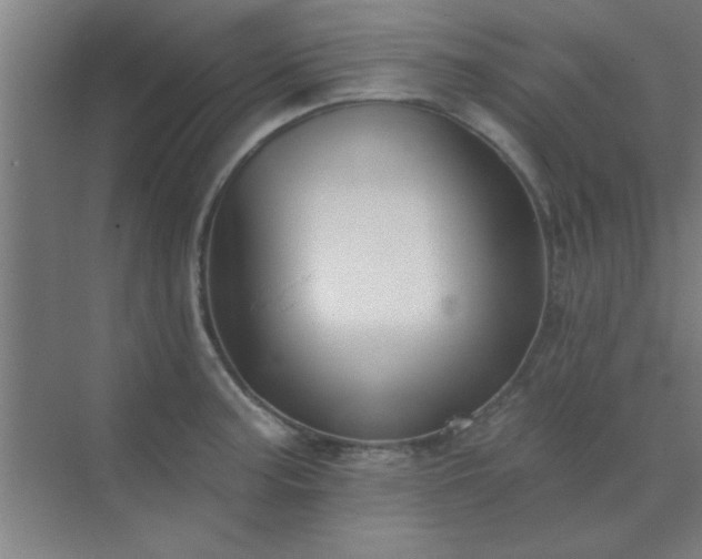 X0000072921187200607282103