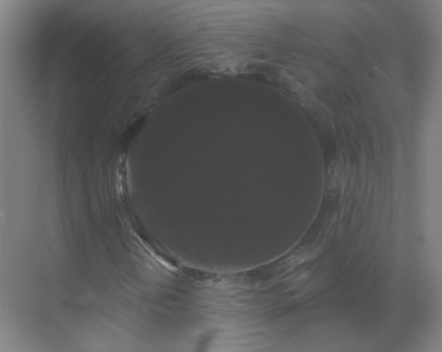 X0000072921202200607282102