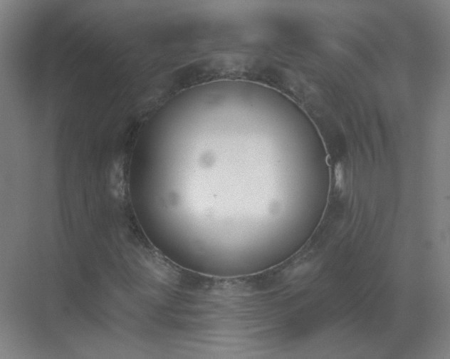 X0000072921203200607282102