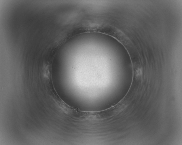 X0000072921204200607282102