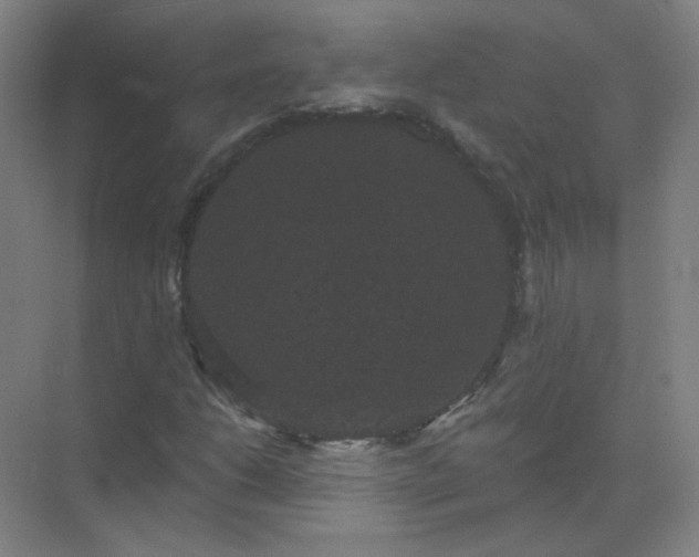 X0000072921206200607282102