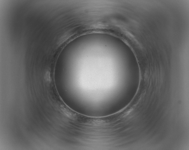 X0000072921209200607282102