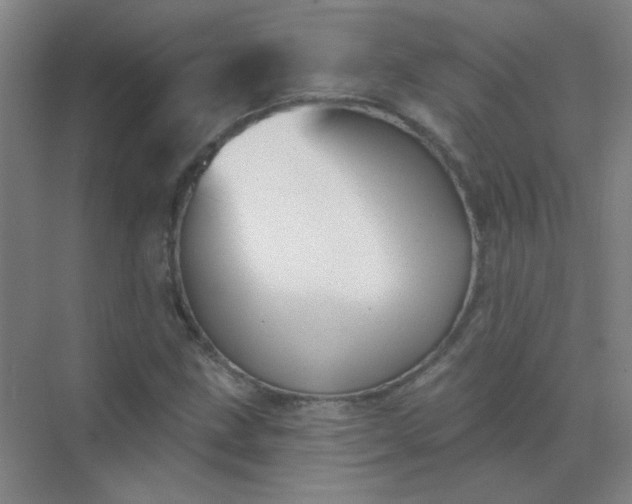 X0000072921211200607282102