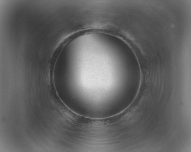 X0000072921214200607282103
