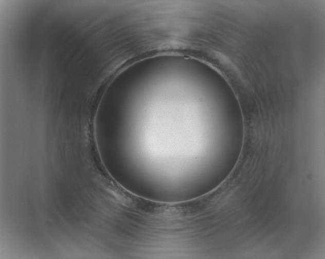 X0000072921217200607282103