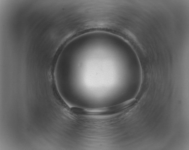 X0000072921218200607282103