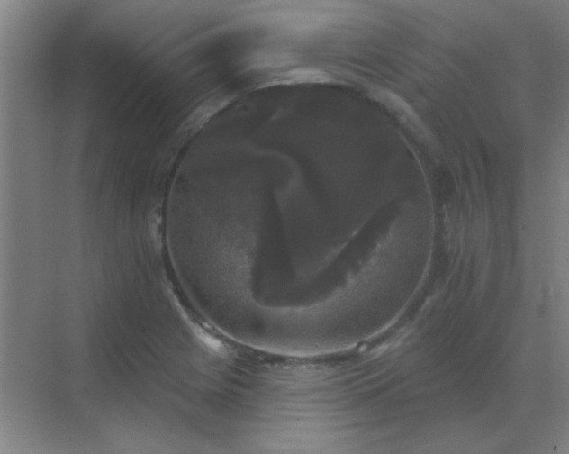 X0000072921225200607282103