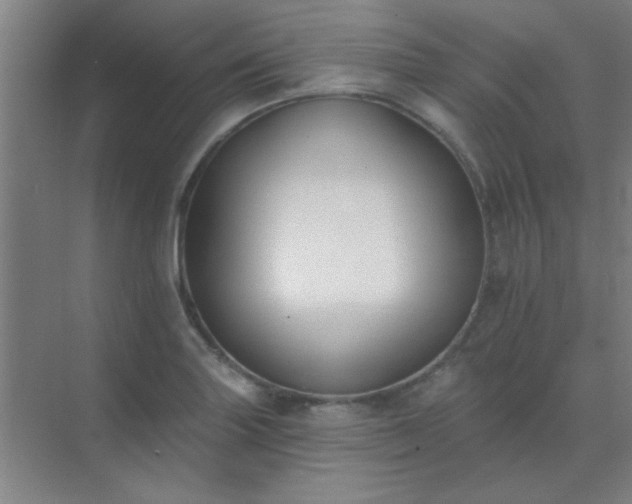X0000072921227200607282103