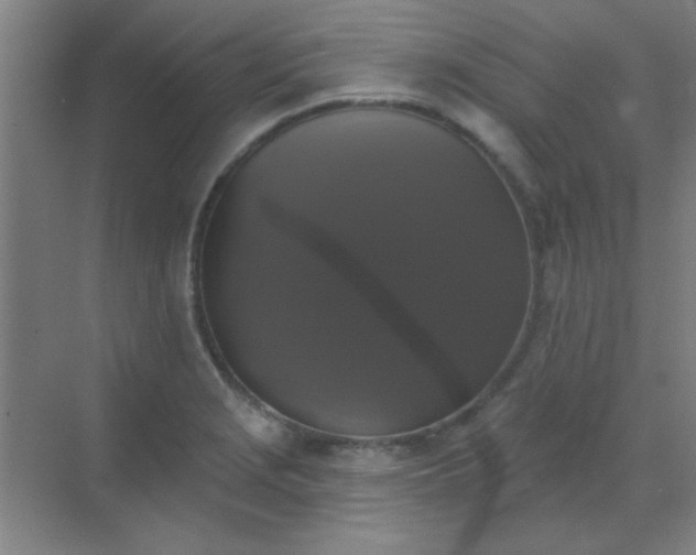 X0000072921229200607282103