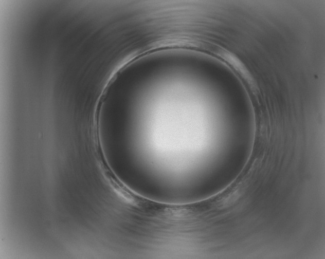 X0000072921242200607282103