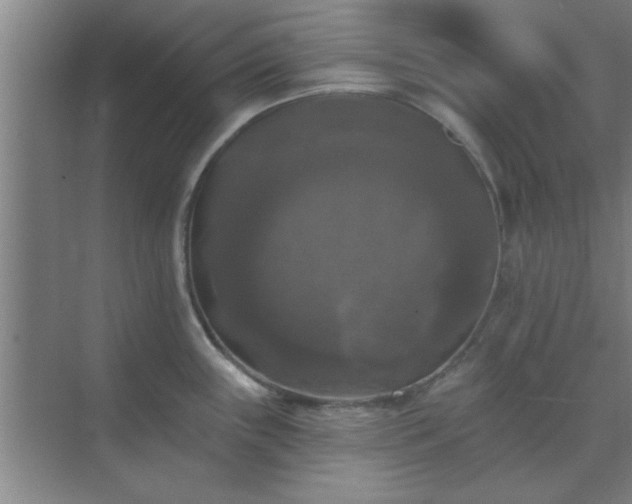 X0000072921243200607282103