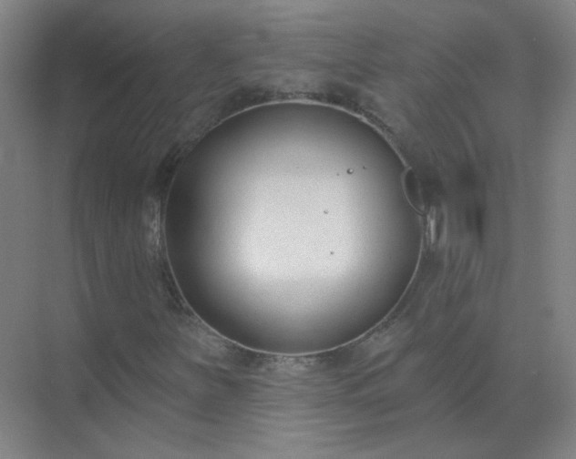 X0000072921251200607282102