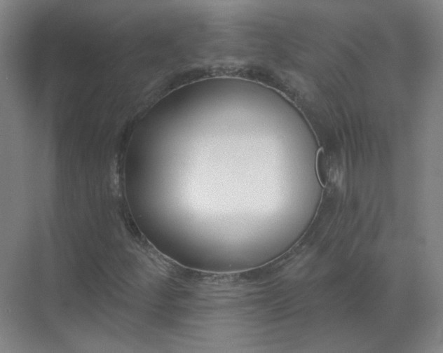 X0000072921252200607282102