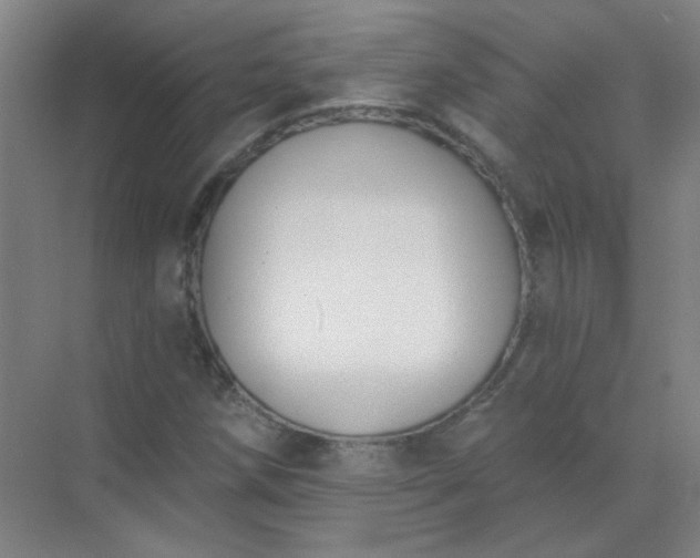 X0000072921258200607282102