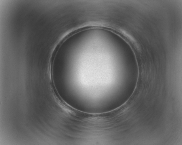 X0000072921272200607282102