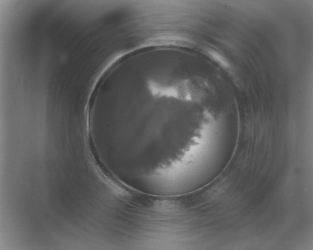X0000072921275200607282102