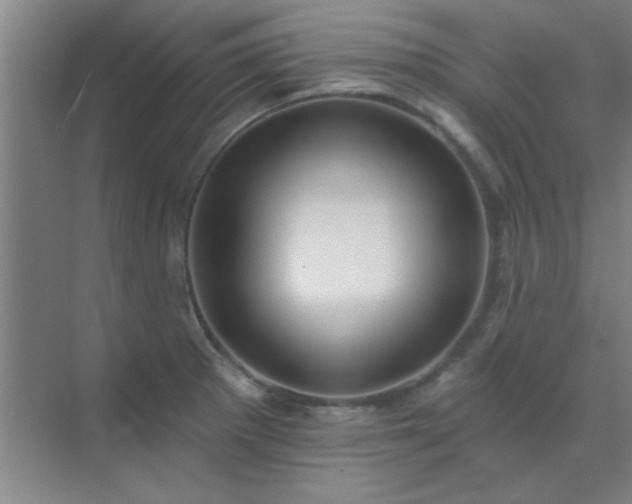X0000072921281200607282102