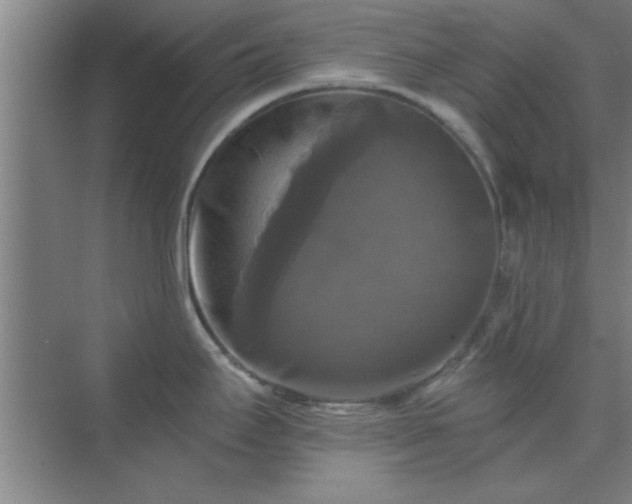X0000072921295200607282102