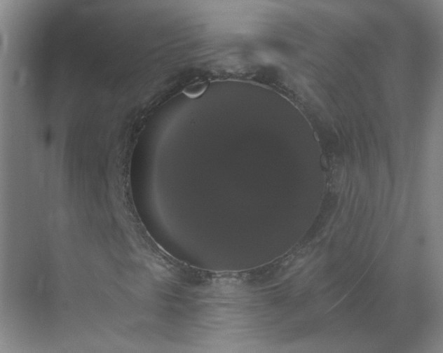 X0000072921297200607282101