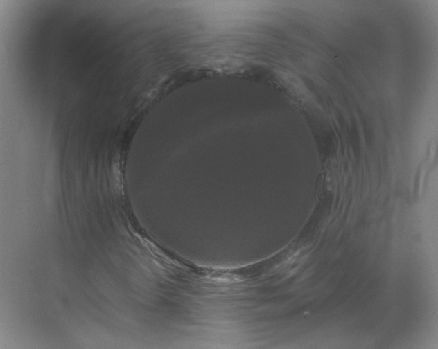 X0000072921298200607282101