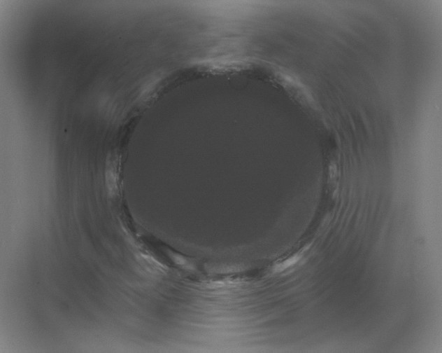 X0000072921300200607282101