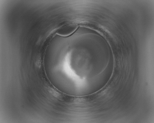 X0000072921306200607282101