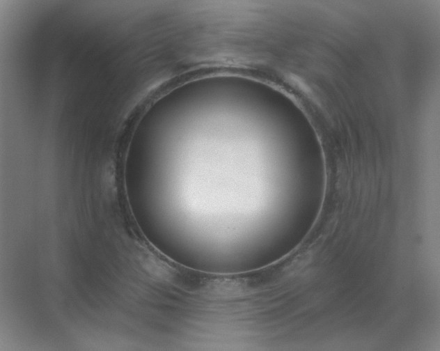 X0000072921307200607282101