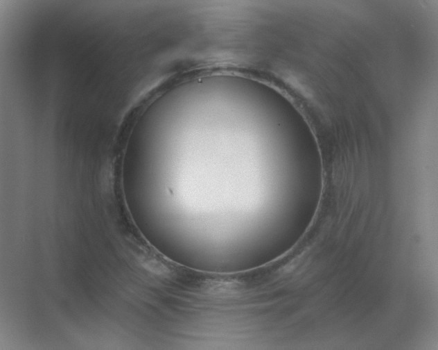 X0000072921309200607282101