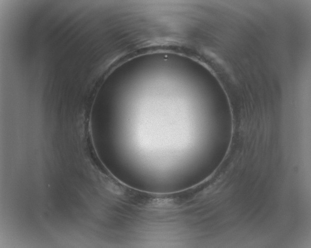 X0000072921313200607282101