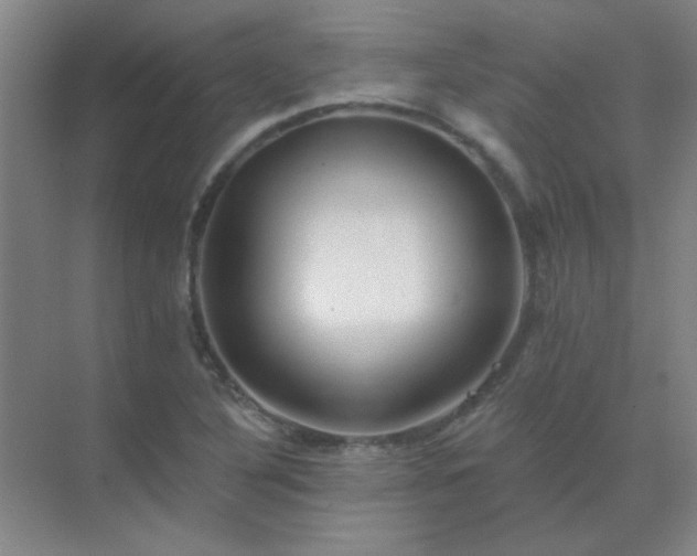 X0000072921316200607282101