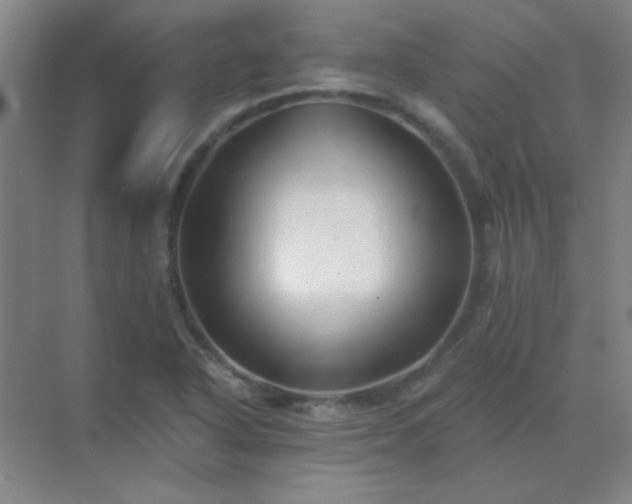 X0000072921318200607282101