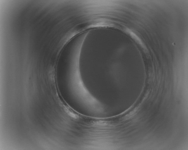 X0000072921329200607282101