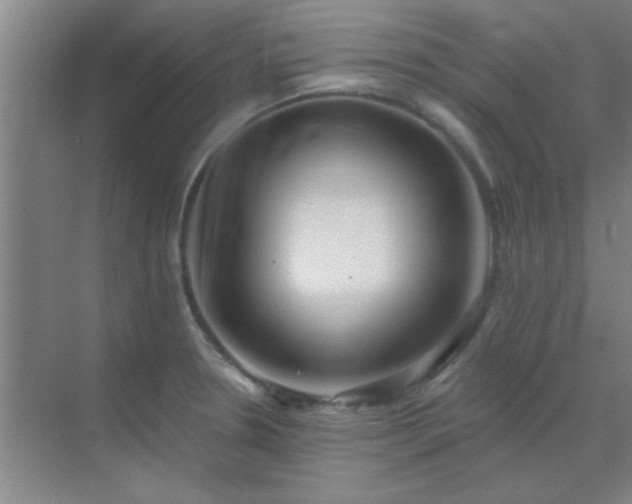 X0000072921330200607282101