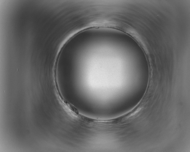 X0000072921344200607282101