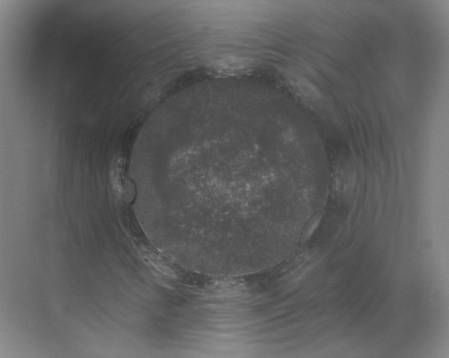 X0000072921346200607282101