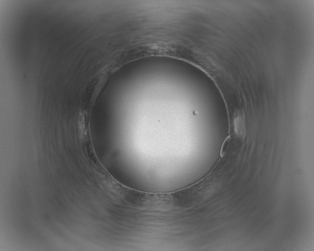 X0000072921347200607282101