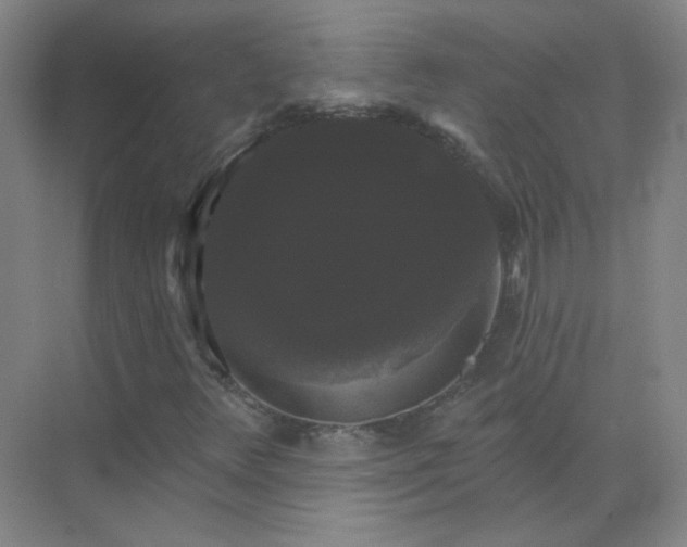 X0000072921348200607282101