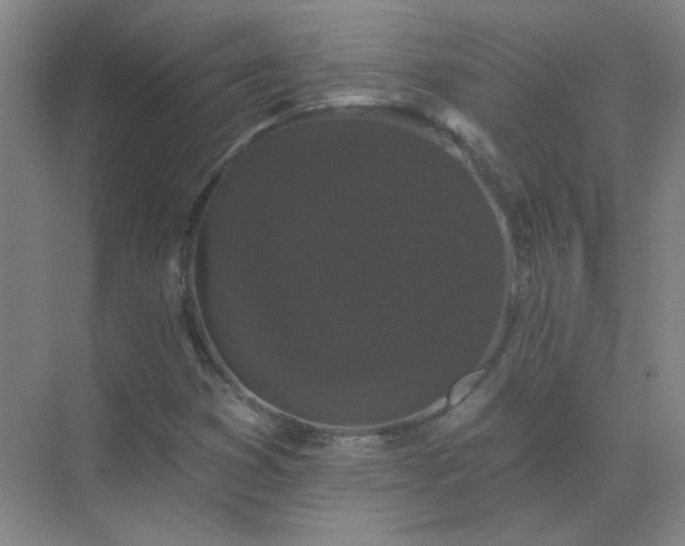 X0000072921353200607282101