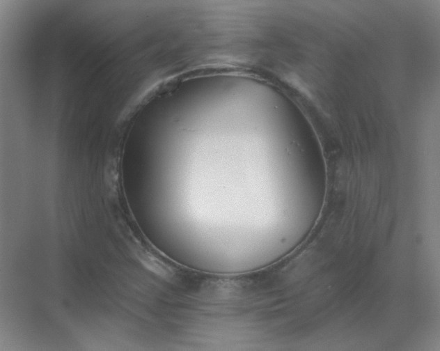 X0000072921355200607282100